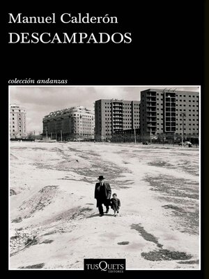 cover image of Descampados